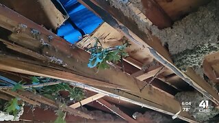 Newlyweds take it day-by-day after storm causes extensive roof damage