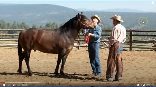 Parelli Works With Spooky Horse & Green Owner With No Experience Who Saved A Mustang - Part 1 of 6