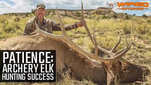 2019 Archery Elk Hunting Success - Patience