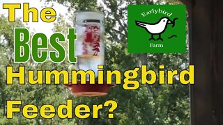 What Is The Best Hummingbird Feeder? | Review of The Best-1 Hummingbird Feeder