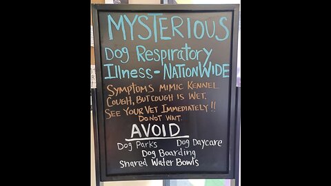 Mysterious Dog Illness