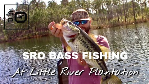 SRO Bass Fishing Little River Plantation in Georgia — Catch and Clean