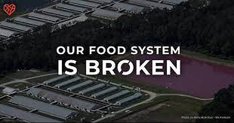 You Can't Stockpile out of a "Broken Food System"