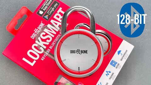 [1413] 128-Bit Encrypted Smart Lock… Open in Seconds (Dog Bone)