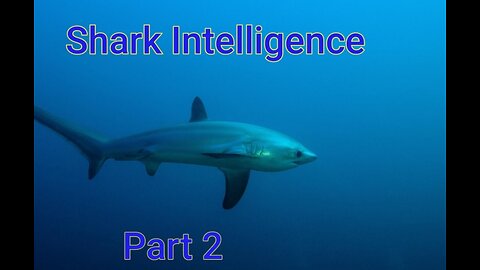 Shark Intelligence Part 2