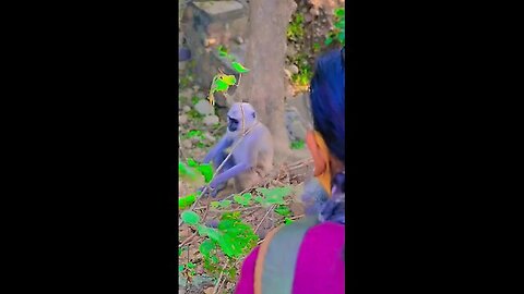 Animals lovers ❤️❤️ cute mangky🐒🐒