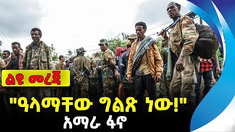 "ዓላማቸው ግልጽ ነው!" | አማራ ፋኖ | ethiopia | addis ababa | amhara | oromo