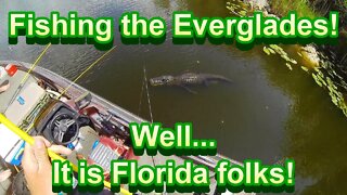 Fishing the Florida Everglades! Part 2 #fishingflorida #fishing