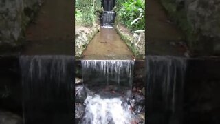 Rio de Janeiro | Jardim Botânico