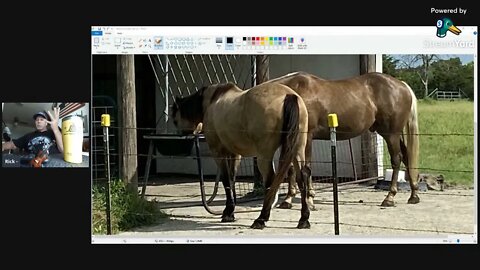 Hey Horsy People - How To Make & Edit A Video For YouTube Posting -