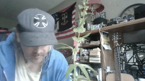 Praise God, for this weed