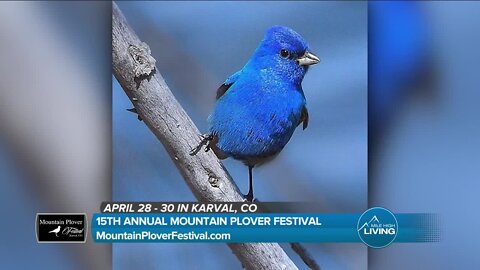 April 28-30th in Karval // Mountain Plover Festival