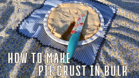 Pie Crust: How to Make Pie Crust in Bulk [Freeze]