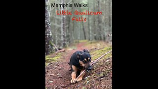 Memphis Walks, Little Qualicum Falls