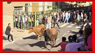 QUEL ( LA RIOJA ) TARDE VACAS CALLE ( LUNES 1 MAYO 2023 ) GANAD.ADRIAN DOMINGUEZ