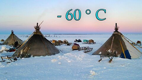 North Nomads life in winter Full film.