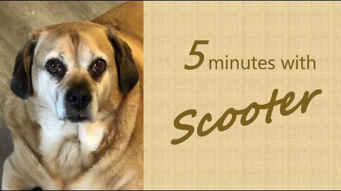 5 Minutes with Scooter - Running to sin