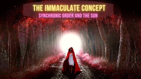 The Immaculate Concept ~ Synchronic Order and the Sun ~ PURE SOURCE CODES ~ THE SELFLESS STAR