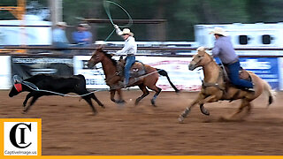 Team Roping - 2023 Wellington Pro Rodeo | Thursday