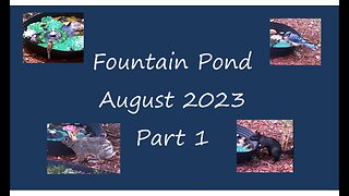 Fountain Pond - August 2023 - Part 1