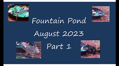 Fountain Pond - August 2023 - Part 1