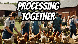 Community Chicken Processing