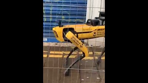 2023: Boston Dynamics robots in Newcastle. Shall we get used to it?