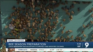Local beekeepers discuss methods to protect people from swarms