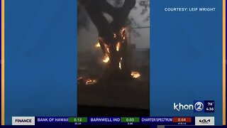 Confessions Of A Plasma Fire Denier - Maui Fires, California Fires