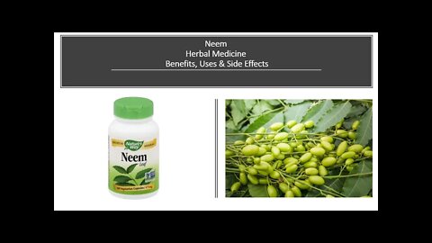 Neem Herbal Medicine Benefits, Uses & Side Effects