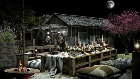Romantic Dinner by the Ocean on a Starry Night Ambience