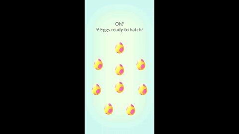 11 eggs 0 hundos I love Pokémon GO