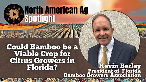 Could Bamboo be a Viable Crop for Citrus Growers in Florida?