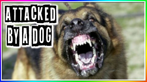ATTACKED BY A DOG! (story)