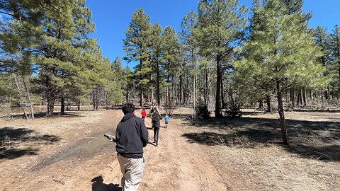 Hiking in Showlow, Arizona