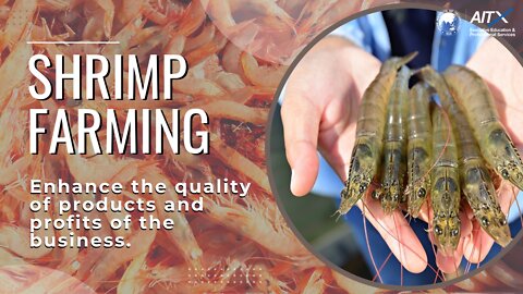 Shrimp Framing- Enhance the quality of products & profits of the business.