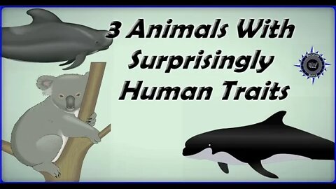 3 Animals With Surprisingly Human Traits #Shorts