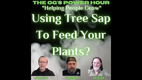 Using Tree Sap To Feed Your Plants?