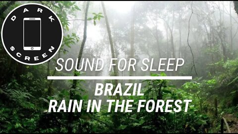 Sound for sleep Rain in the Brazilian Forest Dark Screen
