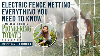 EP: 394 Electric Fence Netting (Everything You Need to Know)