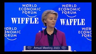 Ursula Wiffle Waffle World Economic Forum BORES / Hugo Talks