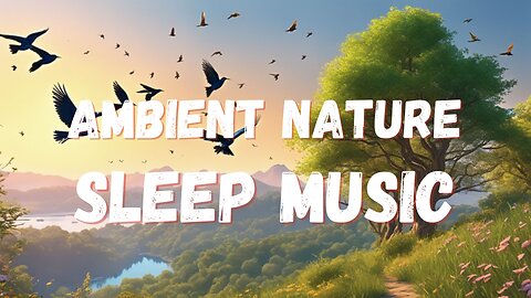 Relaxing Piano and Birdsong: 8 Hours Sleep Music for Sweet Dreams | Calm Your Mind and Body #sleep