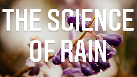 SCIENCE OF WHY RAINWATER IS GOOD FOR PLANTS. IS IT THE SAME FOR MELTED SNOW? | Gardening in Canada