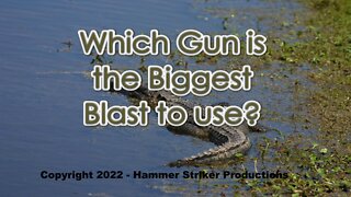 Which Gun is the BIggest Blast to Use?