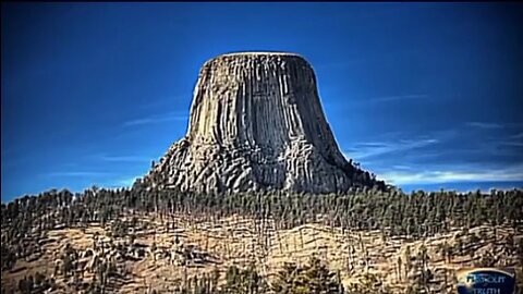 Giant Tree Stumps - HaloRockConspiracy