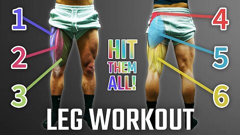 The Best Science-Based Leg Day For Growth (Quads/Glutes/Hamstrings) | PUSH PULL LEGS SERIES