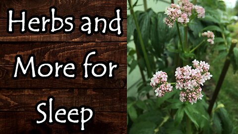 Herbs and More for Sleep