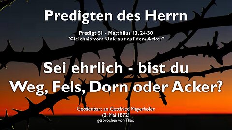 Sei ehrlich zu dir selbst... Bist du Weg, Fels, Dorn oder Acker? ❤️ Jesus erklärt Matthäus 13:24-30