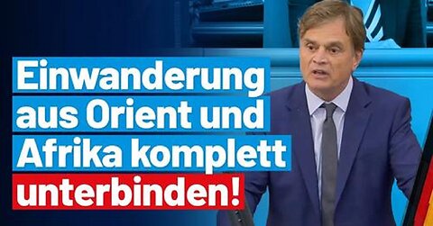 Migrantengewalt erfordert Konsequenzen! Bernd Baumann - AfD-Fraktion im Bundestag