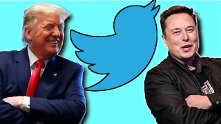 Twitter, Elon And Trump. Possibilities And Thoughts.